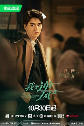 淮北网站优化费用多少钱